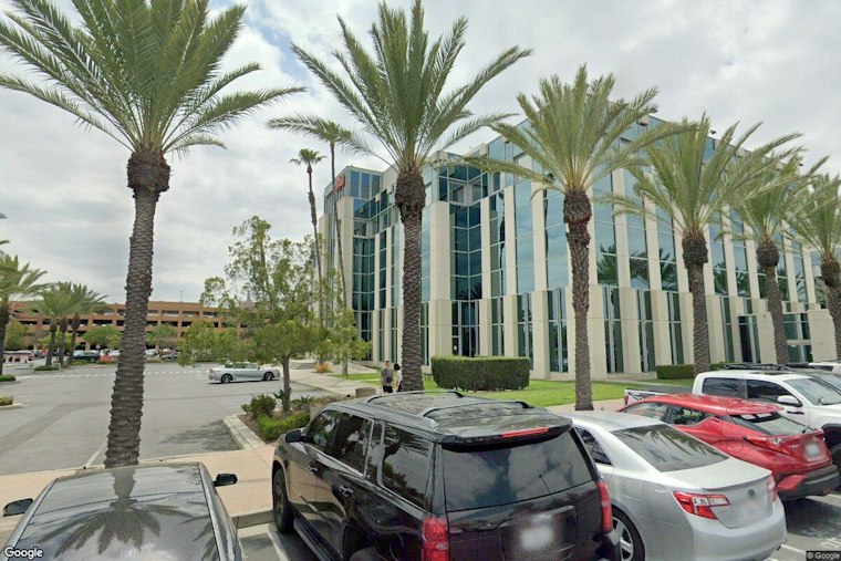 Commerce Mall's 115-Foot Christmas Tree Towers Over Hollywood Sign, Rockefeller Rival