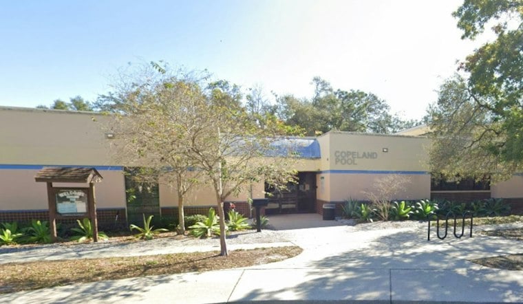Copeland Park's Wooded Trail Offers Tampa Walkers A Mile Of Boardwalks And Wetlands