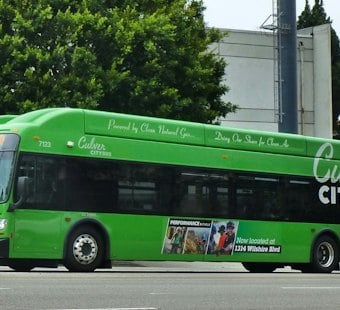 Culver City Bus Driver Shot Dead Over Missed Turn, Suspect Flees on Bicycle