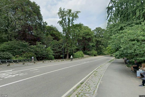 Cyclist, 71, Dies After Dog Collision on Central Park's East Drive