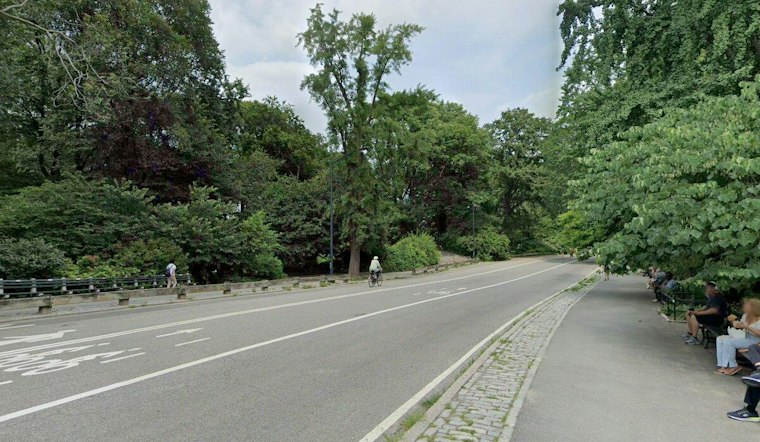 Cyclist, 71, Dies After Dog Collision on Central Park's East Drive