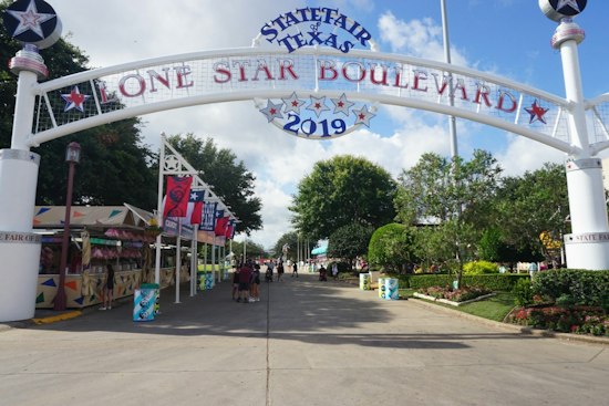 Dallas Mom's Purse Stolen At State Fair, Taking Dying Son's Seizure Medication