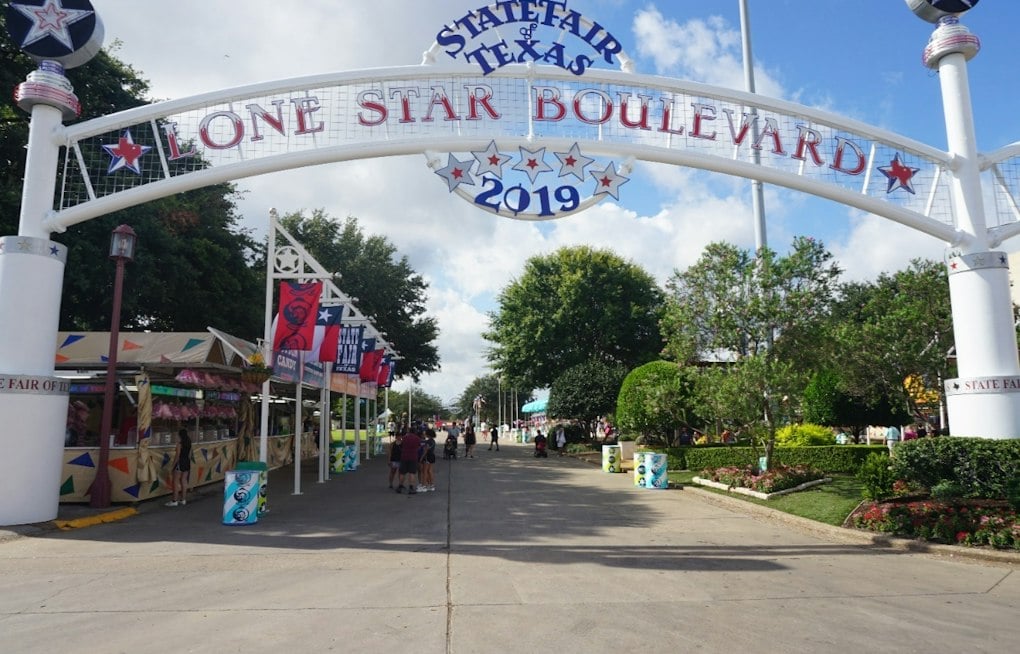 Dallas Mom's Purse Stolen At State Fair, Taking Dying Son's Seizure Medication