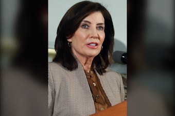 Debra Messing Snubs Hochul, Backs GOP's Blakeman for NY Governor Over Costs