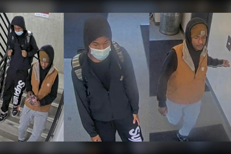 Detroit Police Hunt Two Suspects In Downtown Vehicle Break-In Near Campus Martius