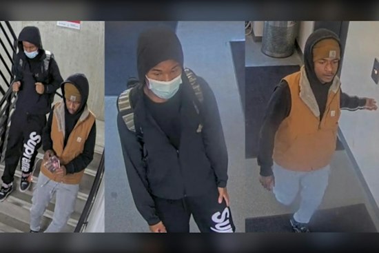 Detroit Police Hunt Two Suspects In Downtown Vehicle Break-In Near Campus Martius