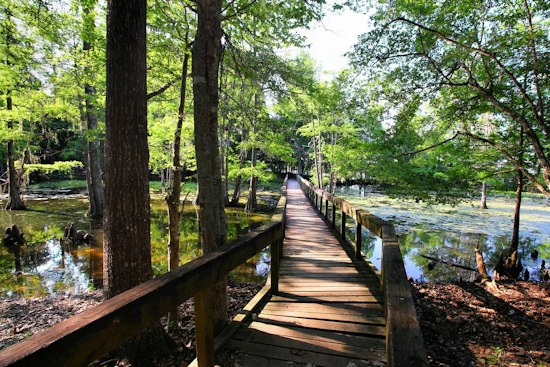 Devil's Sinkhole Near Kerrville Set to Open Up With New Trails