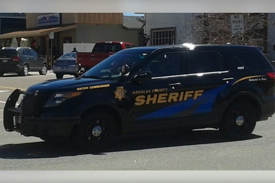 Dog Bites Passerby's Pet Near Peoria and Oswego in Douglas County, Colorado, Owner Vanishes Without ID