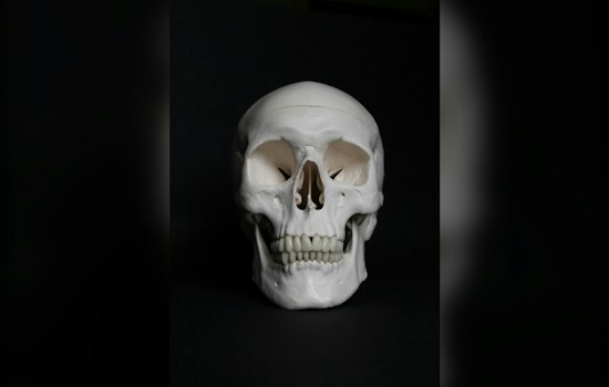 Dog Finds Human Skull Near Boone Water Intake, Medical Examiner Now Investigating