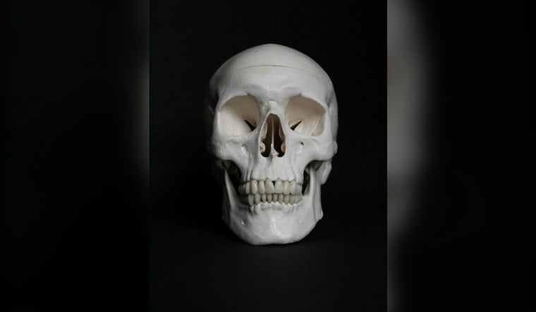 Dog Finds Human Skull Near Boone Water Intake, Medical Examiner Now Investigating