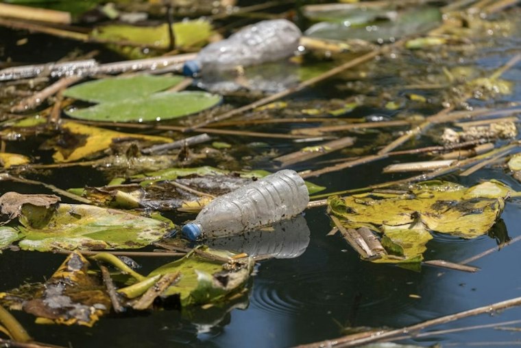 Domtar to Pay $1.9M, Fix Culverts as Roanoke River Pollution Plan Advances