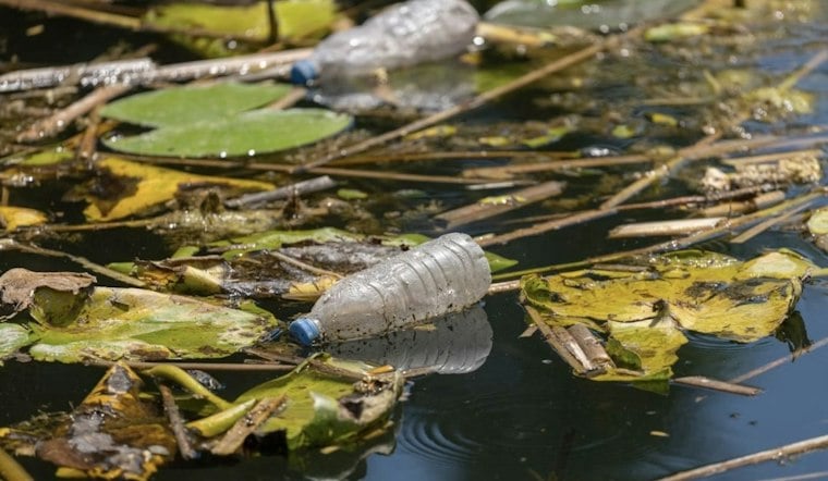 Domtar to Pay $1.9M, Fix Culverts as Roanoke River Pollution Plan Advances