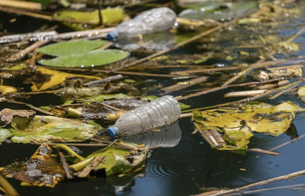 Domtar to Pay $1.9M, Fix Culverts as Roanoke River Pollution Plan Advances