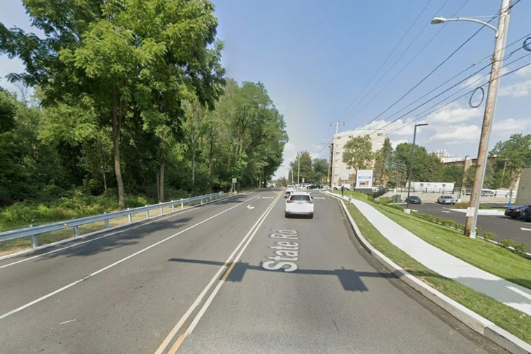 Drexel Hill's Mozino Tract Could Become Forest or 56 Homes, Depending on $8M Race