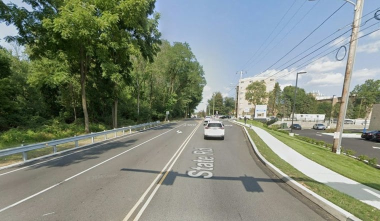 Drexel Hill's Mozino Tract Could Become Forest or 56 Homes, Depending on $8M Race