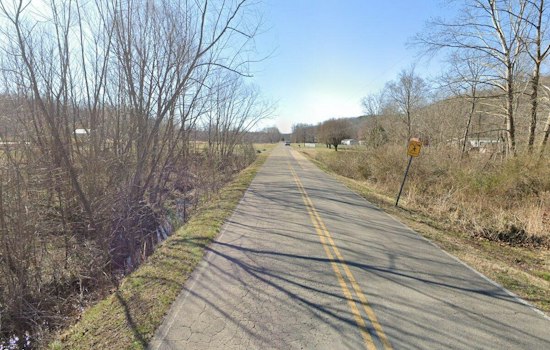 Driver Flees After Fatal Pre-Dawn Hit-and-Run on Lewis County Road