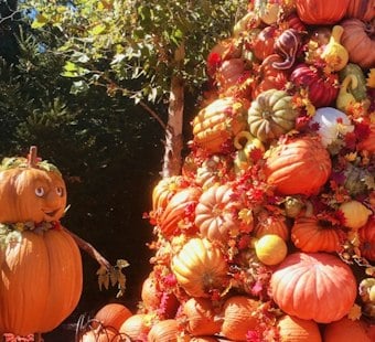 Dublin Artist Carves 678-Pound Pumpkin Tribute To Dolly Parton