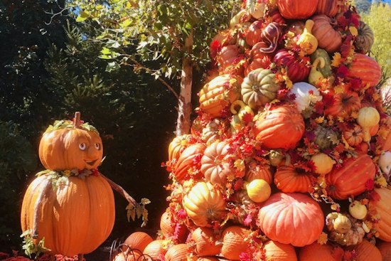 Dublin Artist Carves 678-Pound Pumpkin Tribute To Dolly Parton