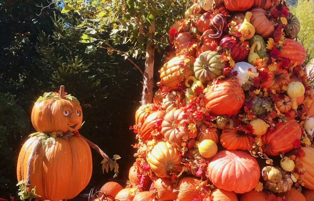 Dublin Artist Carves 678-Pound Pumpkin Tribute To Dolly Parton