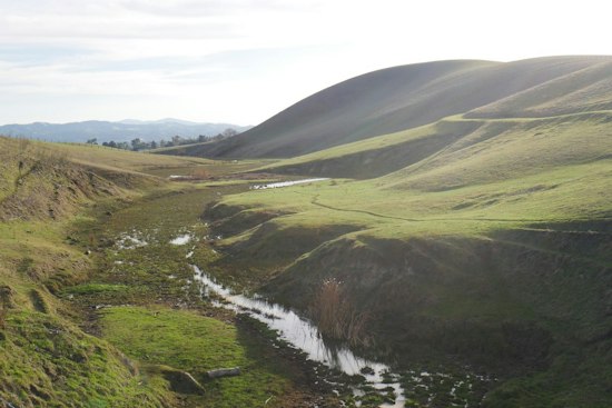 Dublin Housing Fight Ends With 331 Acres Saved in Doolan Canyon, Springtown