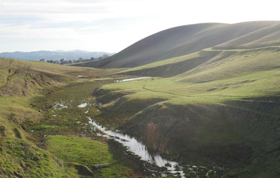Dublin Housing Fight Ends With 331 Acres Saved in Doolan Canyon, Springtown
