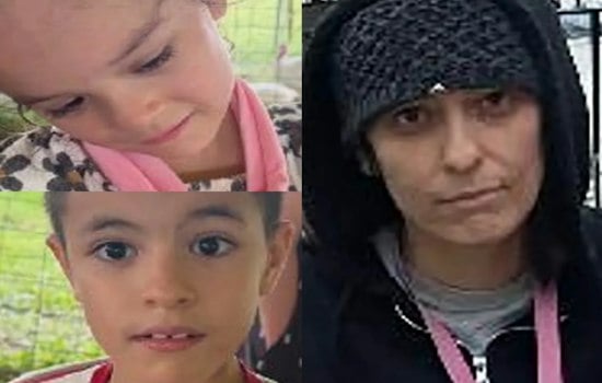 Dyker Heights Mom, Two Kids Missing as NYPD Seeks Help