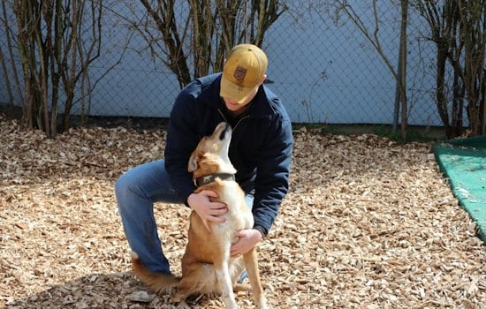 Encinitas 5K Pairs Rescue Dogs With Veterans Fighting Invisible Wounds