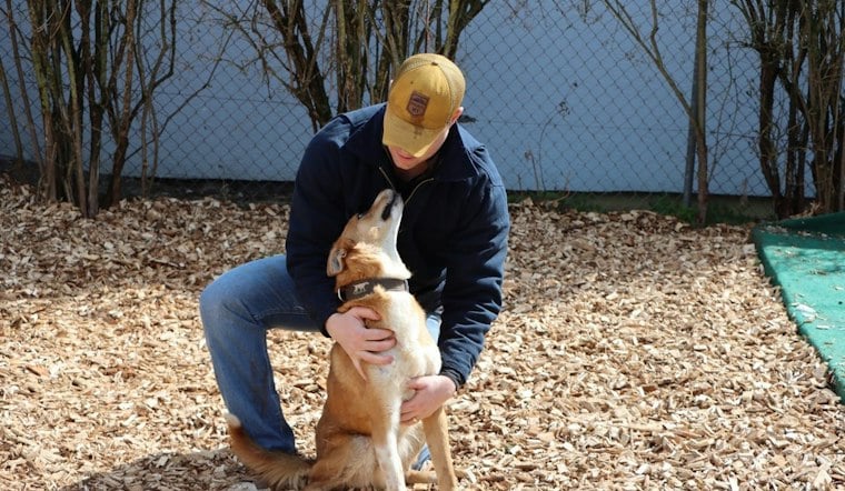 Encinitas 5K Pairs Rescue Dogs With Veterans Fighting Invisible Wounds
