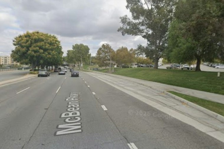 Eucalyptus Tree Crashes Onto Vehicle in Valencia as Santa Ana Winds Rip Through SCV