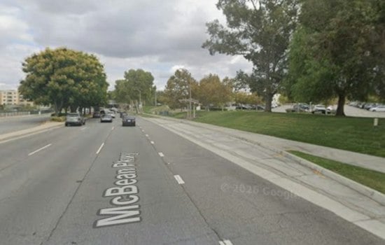 Eucalyptus Tree Crashes Onto Vehicle in Valencia as Santa Ana Winds Rip Through SCV
