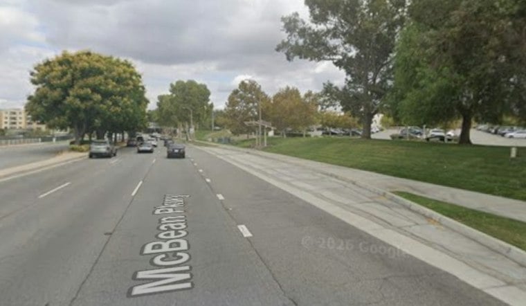Eucalyptus Tree Crashes Onto Vehicle in Valencia as Santa Ana Winds Rip Through SCV