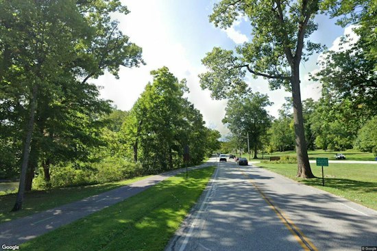 Fairview Park Moves to Cull Up to 100 Deer After Years of Crashes, Calls