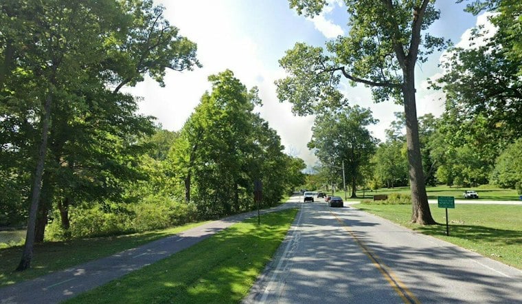 Fairview Park Moves to Cull Up to 100 Deer After Years of Crashes, Calls