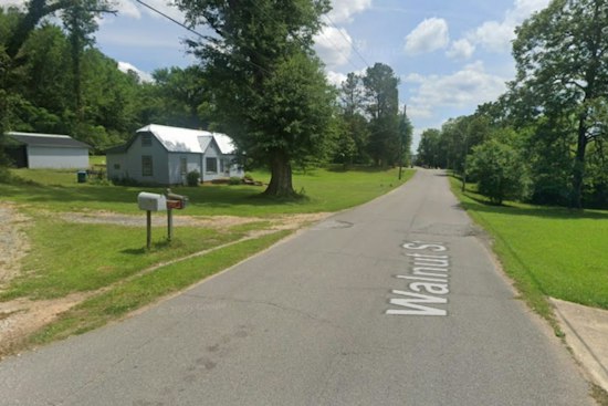 Family Dog Kills 3-Year-Old Boy at Sulligent Home, Animal Surrendered to Police