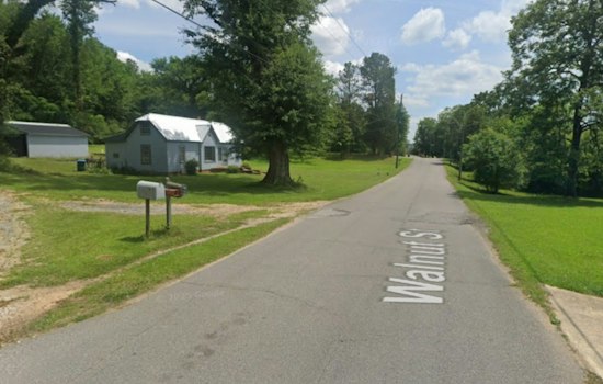 Family Dog Kills 3-Year-Old Boy at Sulligent Home, Animal Surrendered to Police