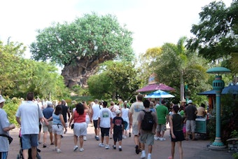Family Sues Disney After Child Caught in Animal Kingdom Queue Brawl