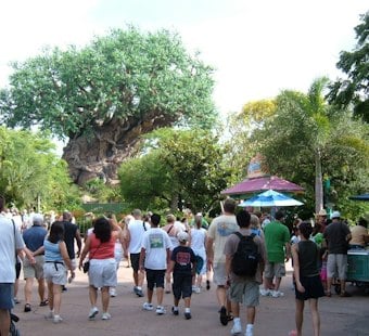 Family Sues Disney After Child Caught in Animal Kingdom Queue Brawl