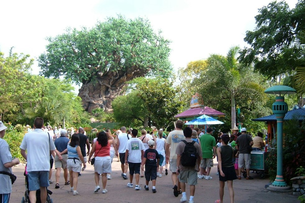 Family Sues Disney After Child Caught in Animal Kingdom Queue Brawl