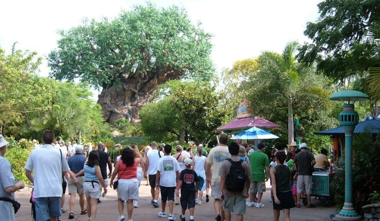 Family Sues Disney After Child Caught in Animal Kingdom Queue Brawl