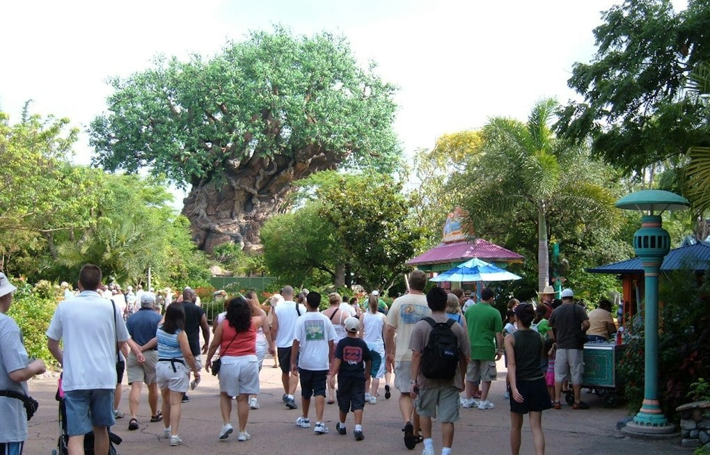 Family Sues Disney After Child Caught in Animal Kingdom Queue Brawl