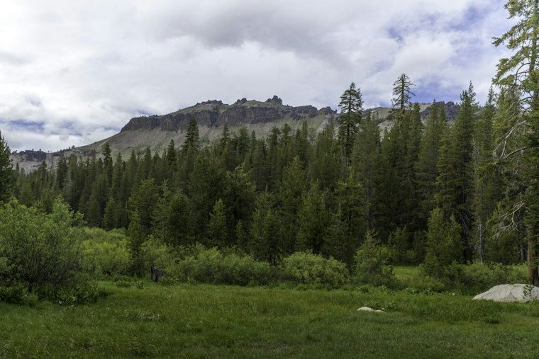 Father and Son Plead No Contest in Sierra County Creek Mining Vandalism Case