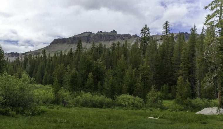 Father and Son Plead No Contest in Sierra County Creek Mining Vandalism Case