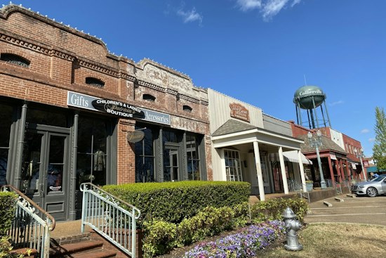 Fire Guts 75-Year-Old Collierville Farm Store, Store Parrot Popeye Dies