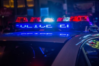 Fishers Home Invasion Suspects Tracked Victim's Family Before Pistol-Whipping Him, Docs Say