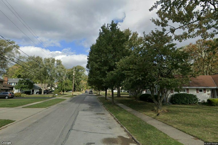 Five Pit Bulls Swarm Small Dog on Berea Walk, Woman Vows to Euthanize Them