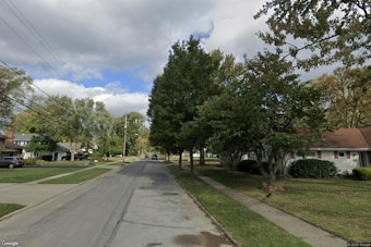 Five Pit Bulls Swarm Small Dog on Berea Walk, Woman Vows to Euthanize Them
