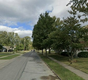 Five Pit Bulls Swarm Small Dog on Berea Walk, Woman Vows to Euthanize Them