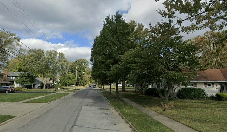 Five Pit Bulls Swarm Small Dog on Berea Walk, Woman Vows to Euthanize Them