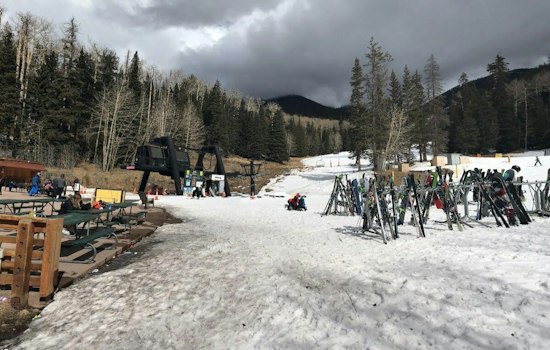 Flagstaff Aspens Hit Peak Gold This Week, But the Window Is Closing Fast
