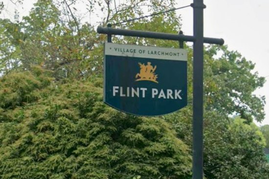 Flint Park Work Remains Paused as Larchmont Faces DEC Requirements